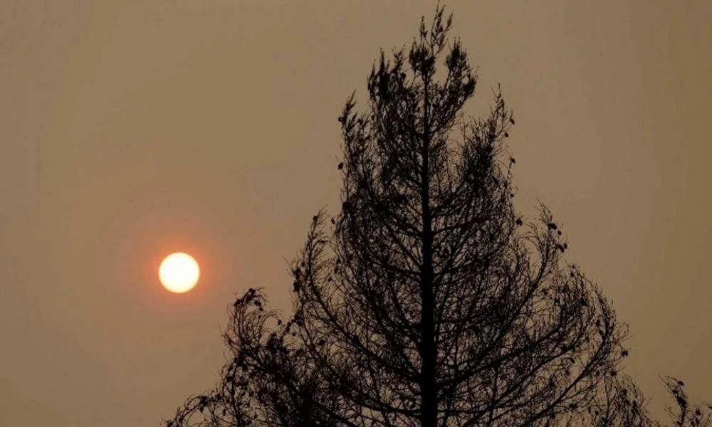Φωτιά στην Κομοτηνή: Πάνω από 100 στρέμματα δάσους έγιναν στάχτη